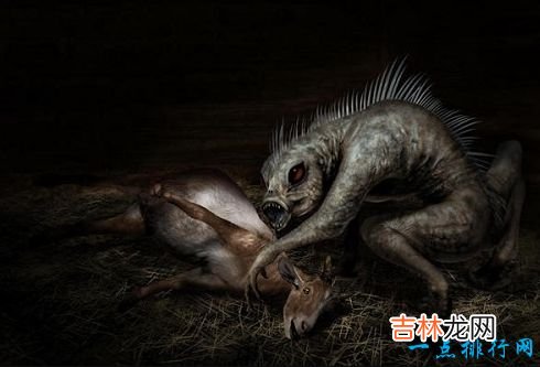 十大神秘生物 被未知笼罩的迷之生物