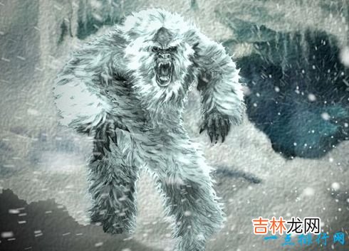 十大神秘生物 被未知笼罩的迷之生物
