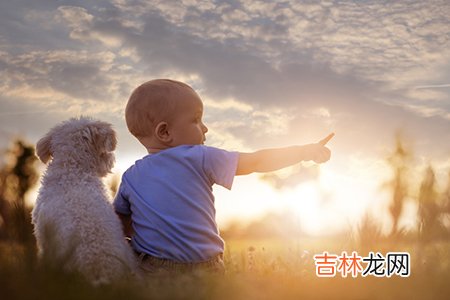 姓名算命适合职业_啥八字的人离婚就会倒大霉