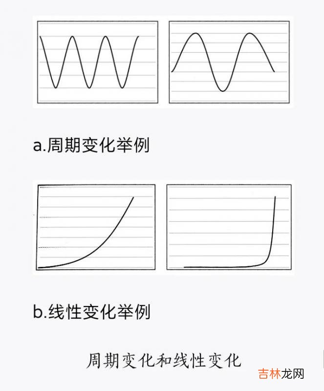 月月爱解说 月月爱分享