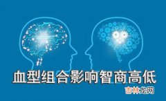 父母若是这几种“血型组合” 生下的孩子智商高