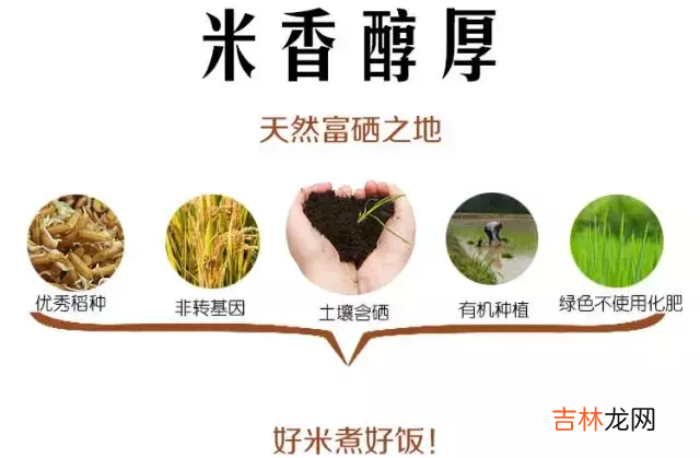 全国大米品牌排行榜 七河源大米怎么样