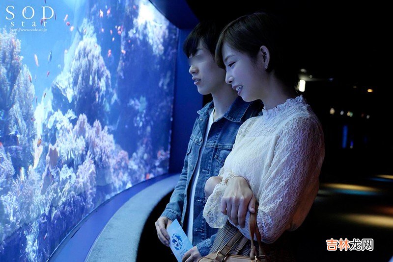 纱仓真菜是什么梗