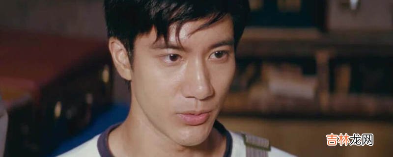 王力宏二哥什么梗?