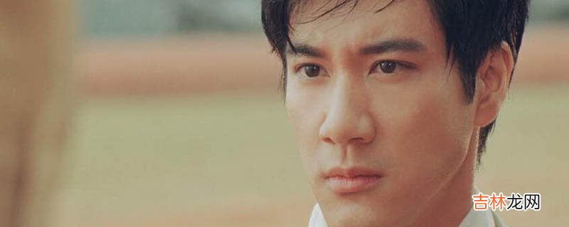 王力宏二哥什么梗?