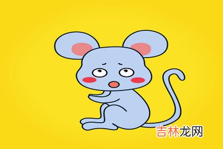 属鼠熊猫型血的性格有什么特点