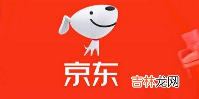 京东白条简介 京东上的白条是什么意思