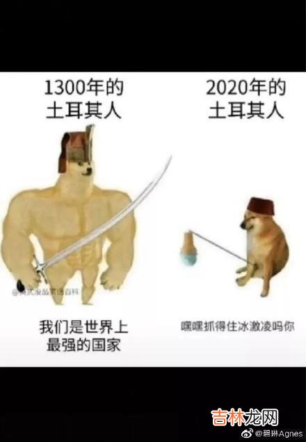 Cheems是什么梗