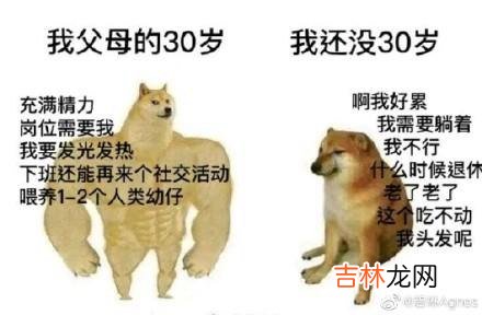 Cheems是什么梗