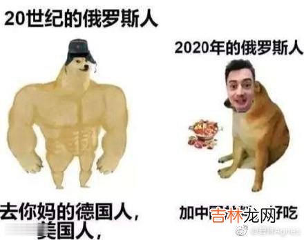 Cheems是什么梗