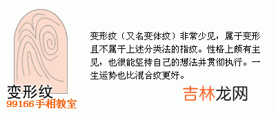 十二生肖算命书周易_指纹类型全面分析