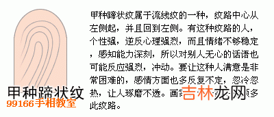 十二生肖算命书周易_指纹类型全面分析