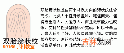 十二生肖算命书周易_指纹类型全面分析