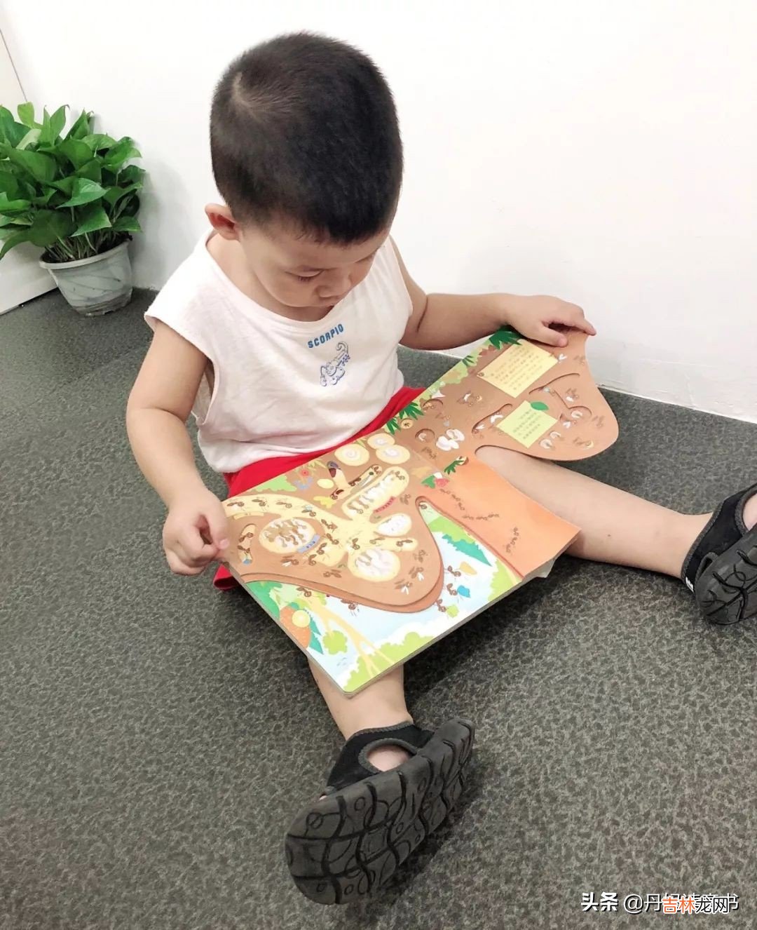 elle童装品牌故事 elle童装针织