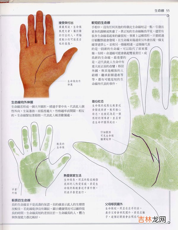 宜昌算命很准的人_手相百科:生命线