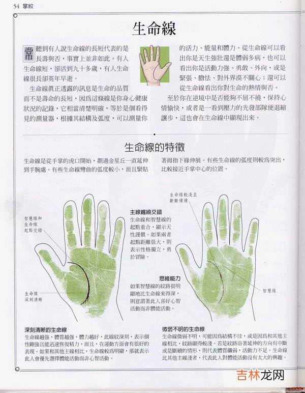 宜昌算命很准的人_手相百科:生命线