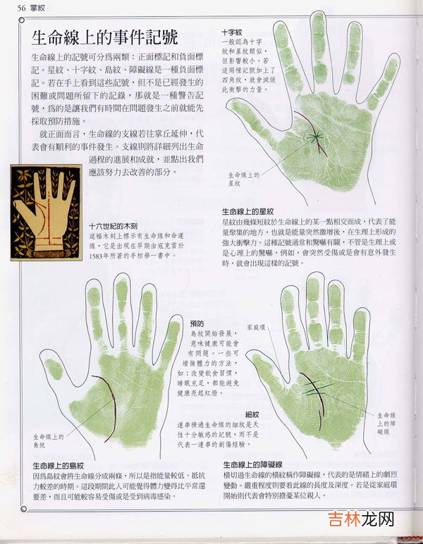 宜昌算命很准的人_手相百科:生命线