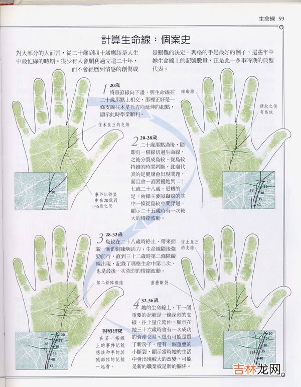 宜昌算命很准的人_手相百科:生命线