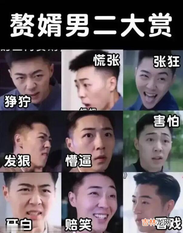 龙王赘婿是什么梗