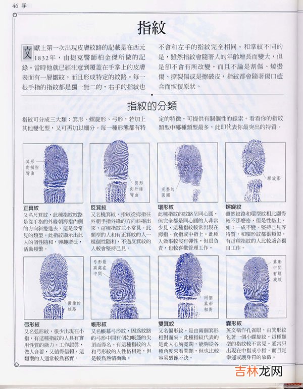 八字算命详细cx5价_手相百科：指纹