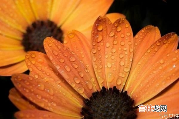 老公爱上了小三怎么办? 分离老公和小三的方法