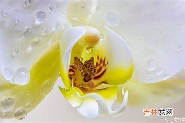 老公爱上了小三怎么办? 分离老公和小三的方法