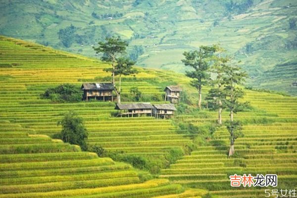 夫妻感情破裂能挽回吗？ 如何处理好夫妻感情