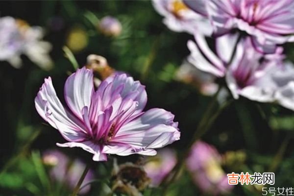 夫妻感情破裂能挽回吗？ 如何处理好夫妻感情