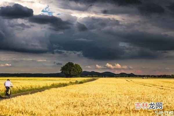 女人二婚后会怎么样看待出轨的前夫 再婚后对前夫想法