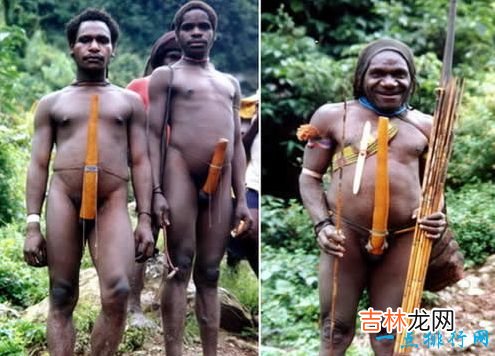 56厘米 世界最大男性器官 最大的阴茎长