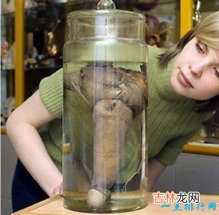 56厘米 世界最大男性器官 最大的阴茎长