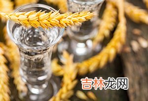 10种不同品牌伏特加的价格 伏特加多少钱一瓶