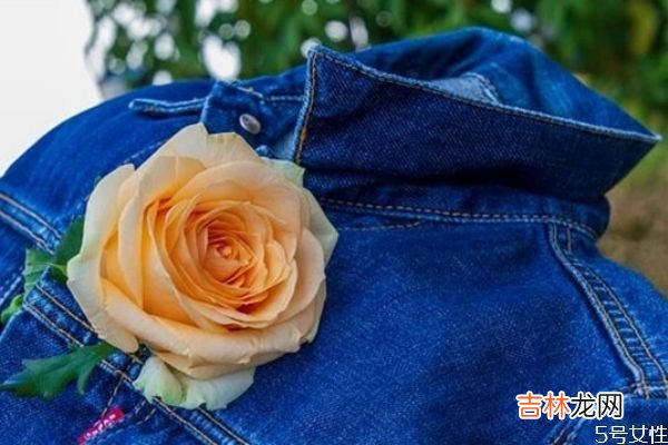 老婆冷战两个月了要和我离婚了 夫妻冷战是不是该离婚