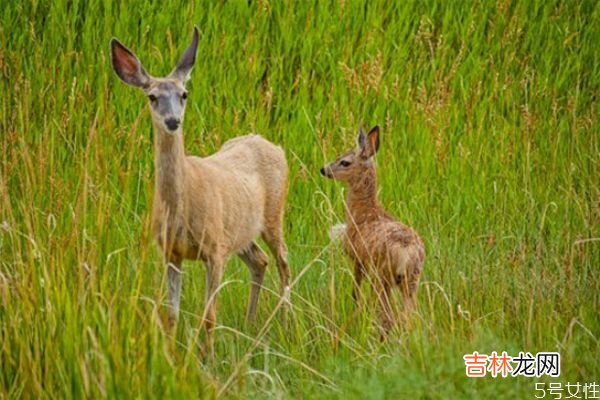 离婚了怎么挽救婚姻 离婚后想挽回怎么沟通