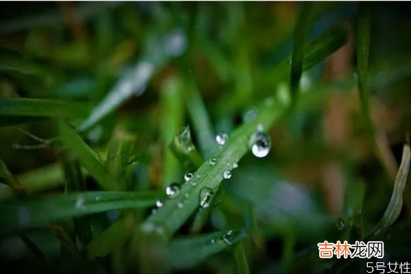 离婚后怎样相处好 离婚夫妻最好的相处方式