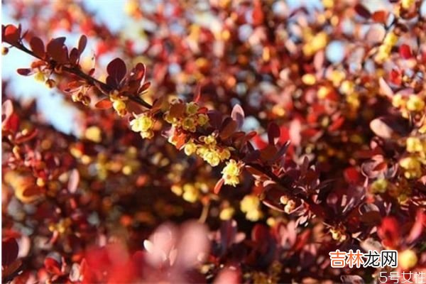 离婚后怎样相处好 离婚夫妻最好的相处方式