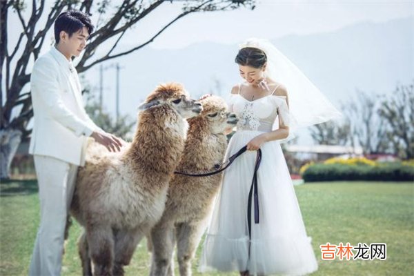 凑合的婚姻比离婚强吗? 凑合的婚姻还有必要继续吗?