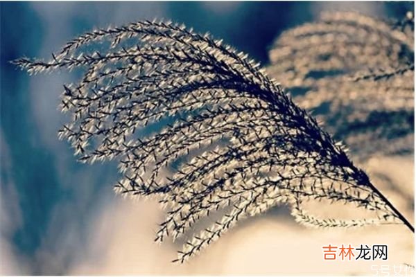 离婚后怎样与前夫相处 离婚后如何对待前夫