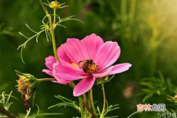 离婚后怎样与前夫相处 离婚后如何对待前夫