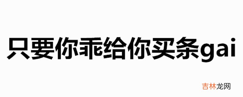 你是魔鬼还是秀儿只要你乖给你买条gai是什么歌？