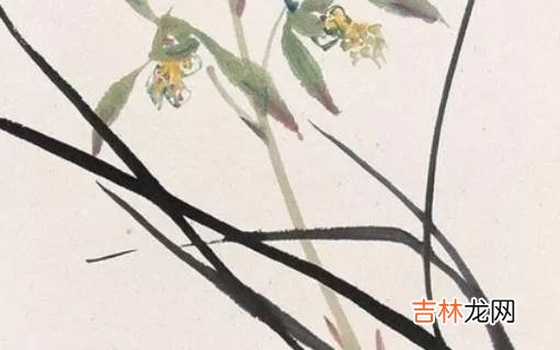 女孩取名:2020年11月19号出生的女孩参考四书五经取名字