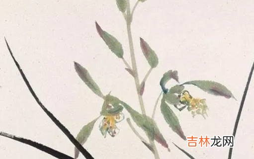 女孩取名:2020年11月19号出生的女孩参考四书五经取名字