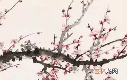 2020年11月21号出生的女孩参考四书五经取名字