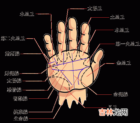 周易算命面相_掌纹观健康与疾病