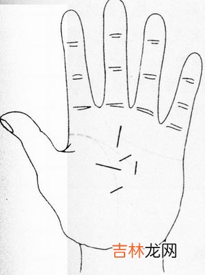 牡丹江大白梨算命在哪_掌纹随病理发生变化可预测疾病