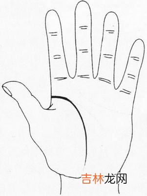 牡丹江大白梨算命在哪_掌纹随病理发生变化可预测疾病