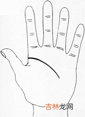 牡丹江大白梨算命在哪_掌纹随病理发生变化可预测疾病