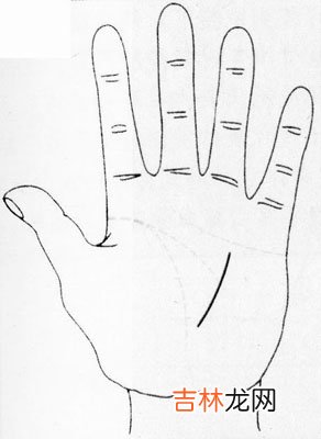 牡丹江大白梨算命在哪_掌纹随病理发生变化可预测疾病