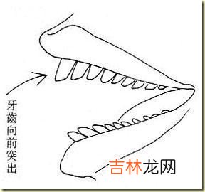 五通桥算命_女人相法之刑克相2