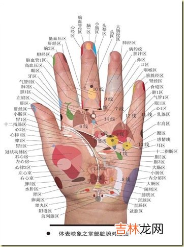 在线算命免费_中医手诊,预兆你的健康